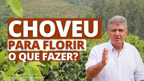 Imagem do Choveu para FLORIR, o que fazer?