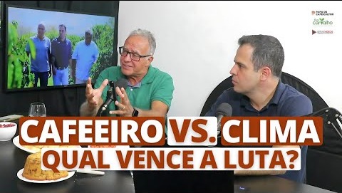 Imagem do CAFEEIRO VS. CLIMA, qual vence a luta?